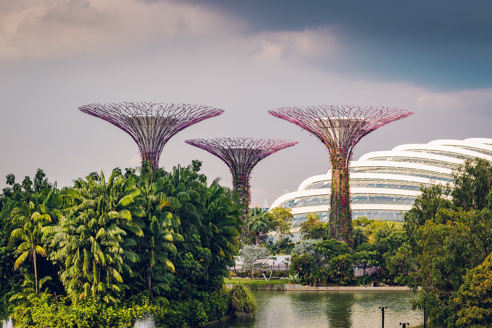 SERVICES SINGAPORE