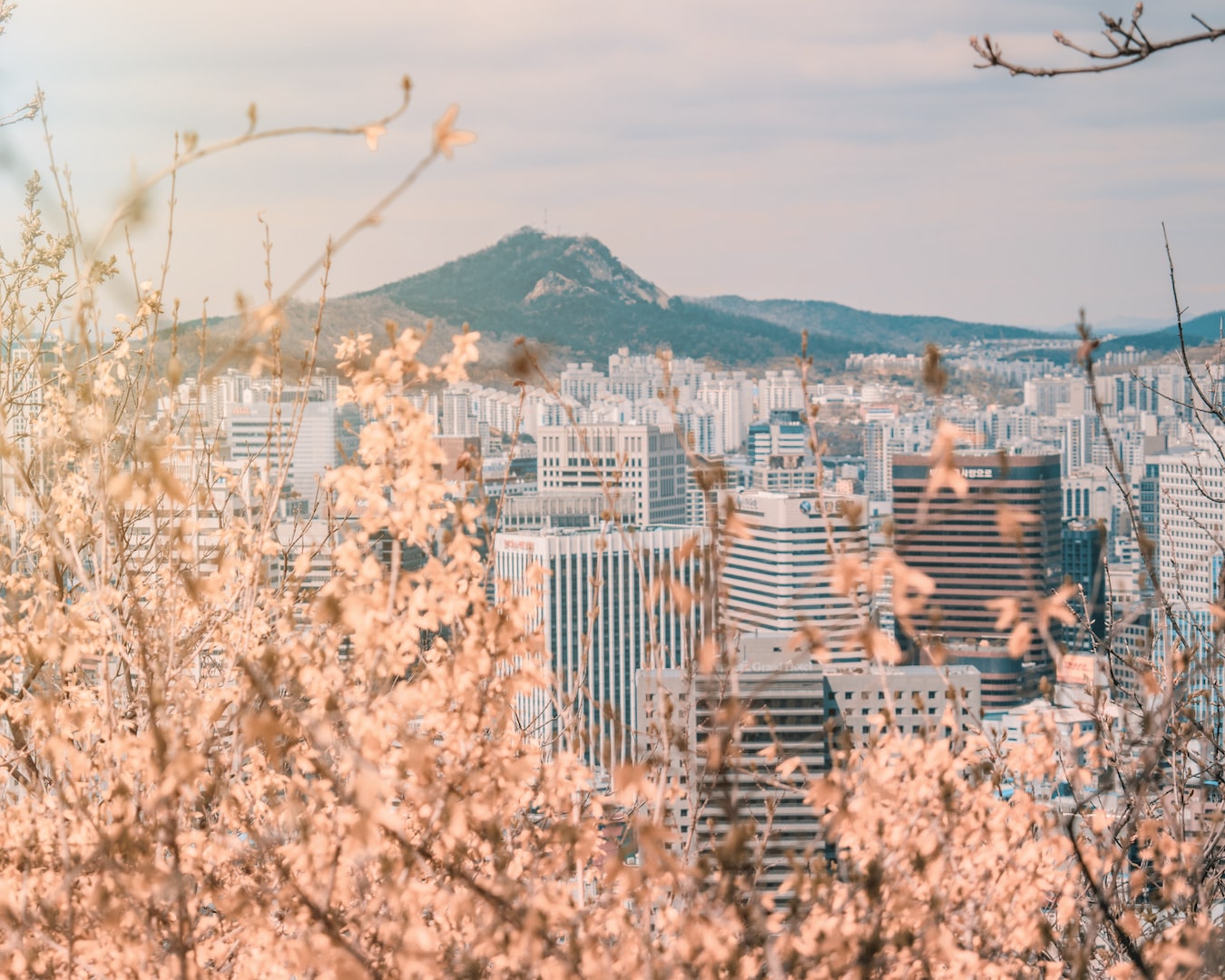 SERVICES SOUTH KOREA