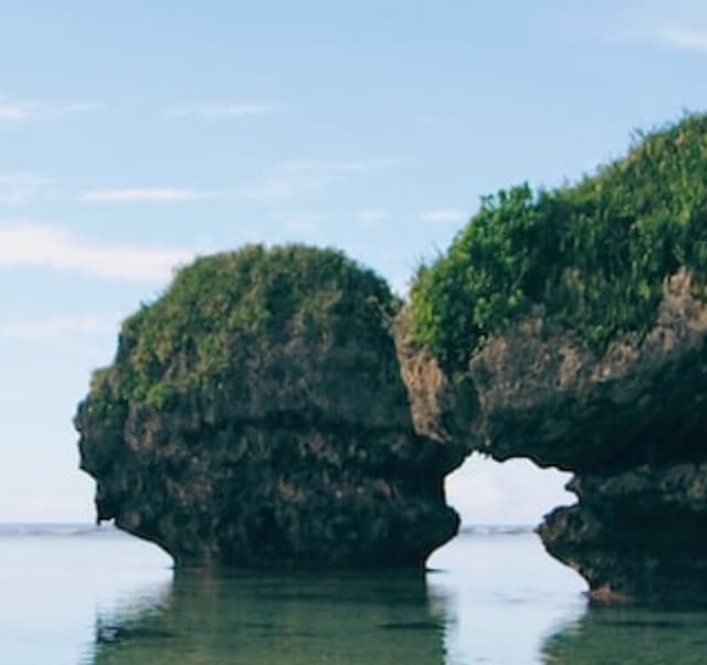 SERVICES GUAM