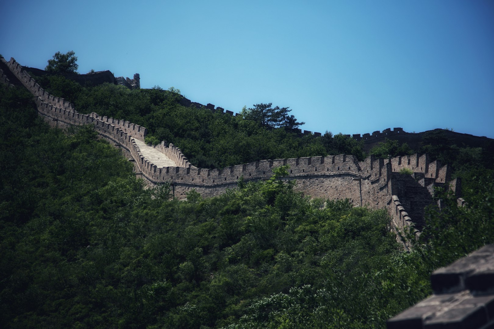 SERVICES CHINA